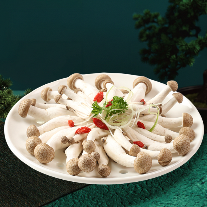 NẤM LINH CHI NÂU