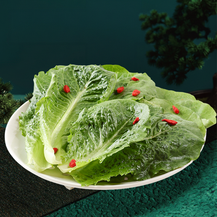 SALAD ROMAINE